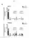 Fig. 58 - p53 activating peptides