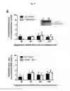 Fig. 60 - p53 activating peptides