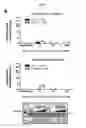 Fig. 61 - p53 activating peptides