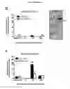 Fig. 63 - p53 activating peptides