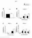 Fig. 69 - p53 activating peptides