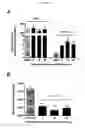 Fig. 71 - p53 activating peptides