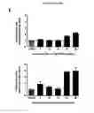 Fig. 75 - p53 activating peptides