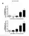 Fig. 78 - p53 activating peptides