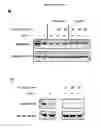 Fig. 81 - p53 activating peptides