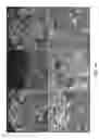 Fig. 15 - Transcription factor-based generation of pacemaker cells and methods of using same