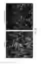 Fig. 18 - Transcription factor-based generation of pacemaker cells and methods of using same