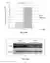 Fig. 51 - Transcription factor-based generation of pacemaker cells and methods of using same