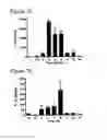 Fig. 03 - THERAPEUTIC METHOD