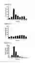 Fig. 04 - THERAPEUTIC METHOD