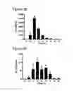 Fig. 05 - THERAPEUTIC METHOD