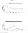 Fig. 09 - THERAPEUTIC METHOD