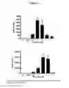 Fig. 16 - THERAPEUTIC METHOD