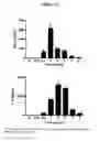 Fig. 17 - THERAPEUTIC METHOD