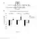 Fig. 08 - METHOD AND COMPOSITION FOR CONFERRING NEUROPROTECTION