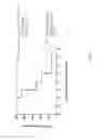 Fig. 32 - ADMINISTRATION OF AN ANTI-ACTIVIN-A COMPOUND TO A SUBJECT
