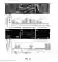 Fig. 08 - Methods of treating vestibular schwannoma and reducing hearing or neurite loss caused by vestibular schwannoma