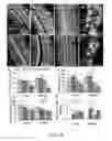 Fig. 19 - Methods of treating vestibular schwannoma and reducing hearing or neurite loss caused by vestibular schwannoma