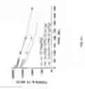 Fig. 05 - IL-15R ALPHA FORMS, CELLS EXPRESSING IL-15R ALPHA FORMS, AND THERAPEUTIC USES OF IL-15R ALPHA AND IL-15/IL-15R ALPHA COMPLEXES