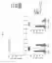 Fig. 17 - IL-15R ALPHA FORMS, CELLS EXPRESSING IL-15R ALPHA FORMS, AND THERAPEUTIC USES OF IL-15R ALPHA AND IL-15/IL-15R ALPHA COMPLEXES