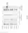 Fig. 21 - IL-15R ALPHA FORMS, CELLS EXPRESSING IL-15R ALPHA FORMS, AND THERAPEUTIC USES OF IL-15R ALPHA AND IL-15/IL-15R ALPHA COMPLEXES