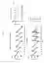 Fig. 23 - IL-15R ALPHA FORMS, CELLS EXPRESSING IL-15R ALPHA FORMS, AND THERAPEUTIC USES OF IL-15R ALPHA AND IL-15/IL-15R ALPHA COMPLEXES