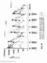 Fig. 57 - IL-15R ALPHA FORMS, CELLS EXPRESSING IL-15R ALPHA FORMS, AND THERAPEUTIC USES OF IL-15R ALPHA AND IL-15/IL-15R ALPHA COMPLEXES