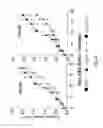 Fig. 62 - IL-15R ALPHA FORMS, CELLS EXPRESSING IL-15R ALPHA FORMS, AND THERAPEUTIC USES OF IL-15R ALPHA AND IL-15/IL-15R ALPHA COMPLEXES