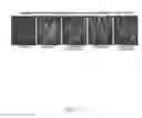 Fig. 13 - INSULIN RECEPTOR INDUCED ELASTIN PRODUCTION