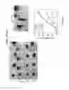 Fig. 26 - Matrix composed of a naturally-occurring protein backbone cross linked by a synthetic polymer and methods of generating and using same