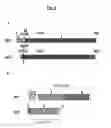 Fig. 03 - Compositions and methods for treating pathological calcification and ossification