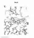 Fig. 10 - Compositions and methods for treating pathological calcification and ossification