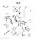 Fig. 12 - Compositions and methods for treating pathological calcification and ossification