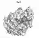 Fig. 22 - Compositions and methods for treating pathological calcification and ossification