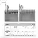 Fig. 04 - A METHOD OF VIRUS INACTIVATION IN COMPOSITION COMPRISING FACTOR VII