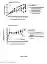 Fig. 02 - Compositions and Methods for Treating Complications Associated with Diabetes
