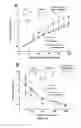 Fig. 12 - Compositions and Methods for Treating Complications Associated with Diabetes