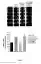 Fig. 13 - Compositions and Methods for Treating Complications Associated with Diabetes