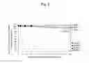 Fig. 03 - PHARMACEUTICAL COMPOSITION CONTAINING PEPTIDES