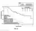 Fig. 07 - Method of Treating Patients with a Mucinous Glycoprotein (MUC-1) Vaccine
