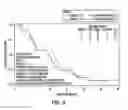 Fig. 10 - Method of Treating Patients with a Mucinous Glycoprotein (MUC-1) Vaccine