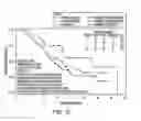 Fig. 11 - Method of Treating Patients with a Mucinous Glycoprotein (MUC-1) Vaccine