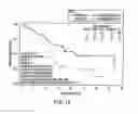 Fig. 13 - Method of Treating Patients with a Mucinous Glycoprotein (MUC-1) Vaccine