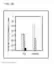 Fig. 03 - Immunogenic compositions comprising silicified virus and methods of use