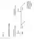 Fig. 04 - Immunogenic compositions comprising silicified virus and methods of use