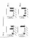 Fig. 06 - Immunogenic compositions comprising silicified virus and methods of use