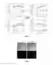 Fig. 03 - Use of a genetically modified infectious measles virus with enhanced pro-apoptotic properties (MV-deltaC virus) in cancer therapy