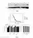 Fig. 04 - Use of a genetically modified infectious measles virus with enhanced pro-apoptotic properties (MV-deltaC virus) in cancer therapy