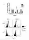 Fig. 11 - Use of a genetically modified infectious measles virus with enhanced pro-apoptotic properties (MV-deltaC virus) in cancer therapy