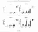 Fig. 26 - Use of a genetically modified infectious measles virus with enhanced pro-apoptotic properties (MV-deltaC virus) in cancer therapy